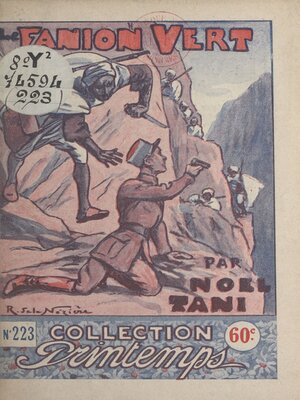 cover image of Le fanion vert